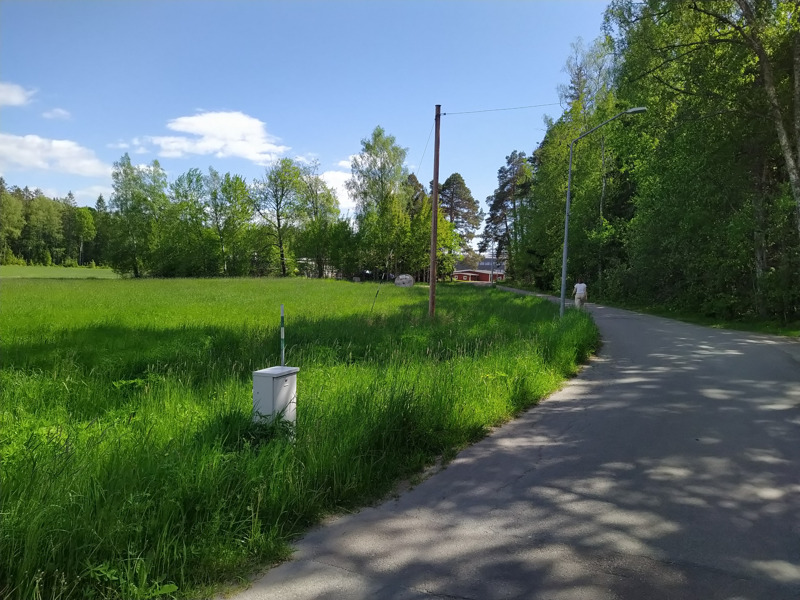 En person går längst med en bilväg på Hammarö under sommartid, med en gräsäng till vänster och skog till höger.